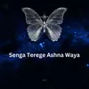 Senga Terege Ashna Waya